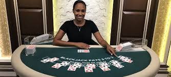 Microgaming live dealer table interface on puma99 login showing multiple camera feeds